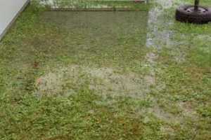 IMG-20230729-WA0005