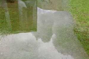 IMG-20230729-WA0007