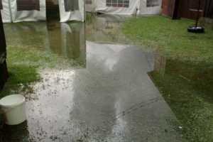 IMG-20230729-WA0008