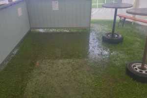 IMG-20230729-WA0012