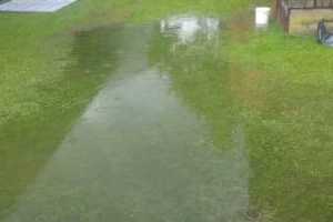 IMG-20230729-WA0014
