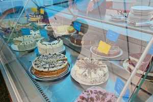 IMG-20250727-WA0005