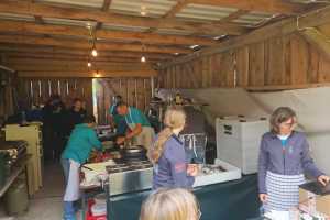 IMG-20250727-WA0006