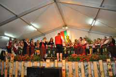 Musikfest in Scherstetten