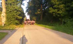 IMG-20210815-WA0014